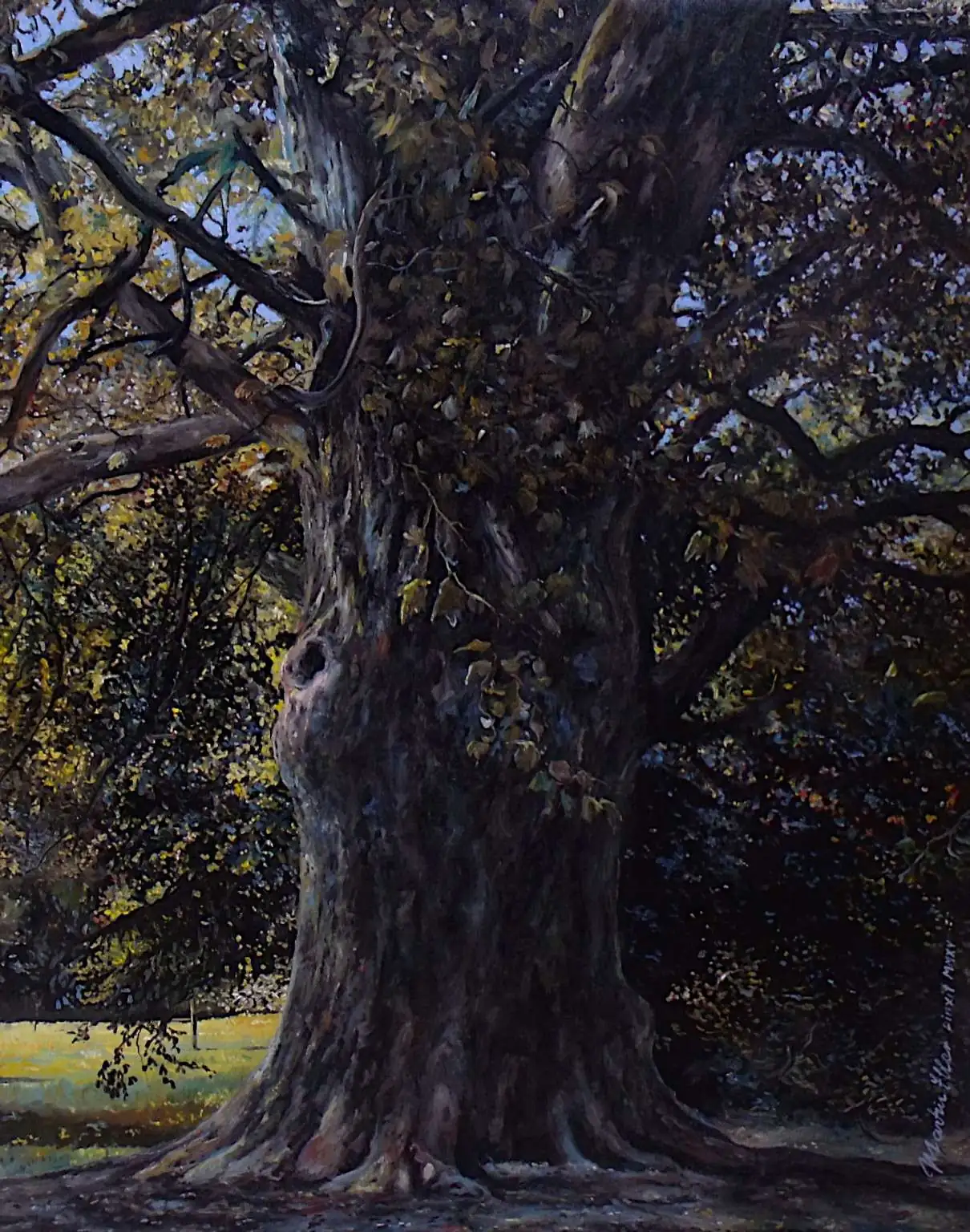 Platanus x hispanica von Martin Eller, WVZ 1933 aus 2017, Öl auf Leinwand 50 x 40 cm; Kontrapunkt zu Ausstellungsstück Nr. 7 - Galerie Alte Schule