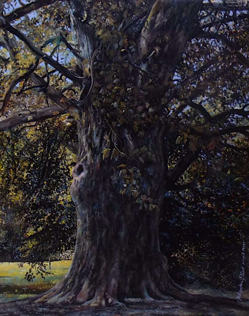 Platanus x hispanica von Martin Eller, WVZ 1933 aus 2017, Öl auf Leinwand 50 x 40 cm; (Kontrapunkt zu Ausstellungsstück Nr. 7 - A.24-4) - Galerie Alte Schule